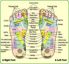 How To Give A Foot Massage Step 1 Understand Foot Reflexology Chart For Acupressure Or Acupuncture Remedies H Foot Detox Pads Foot Massage Reflexology Chart