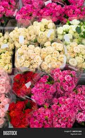 Our seasonal mixed bouquets feature a number of blooms and greens, including gerbera daisies, mums of all kinds, spray roses, hypericum berries, alstroemeria, asiatic lilies, ornamental kale, snapdragons, carnations, hydrangea, spray stock and seasonal greenery. Multi Colored Roses Image Photo Free Trial Bigstock