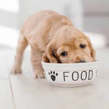 Последние твиты от schecker hundebedarf (@schecker). Schecker Pansen Speisewurze 500g Hiermit Werten Real De