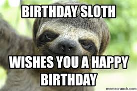 Happy birthday have a majestic day, stoned sloth, quickmeme. Sloth Happy Birthday Memes