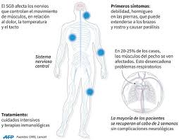 Sepa cuáles son sus síntomas, tratamiento y riesgos. Sindrome De Guillain Barre Como Detectar A Tiempo Este Trastorno Segun La Oms Peru Gestion