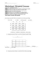 Example solves a two trait (two factor) test cross which can then. Dihybrid Cross Ws Docx Name Period Worksheet Dihybrid Crosses Unit3 Genetics Step 1 Determine What Kind Of Problem You Are Trying To Solve Step 2 Course Hero