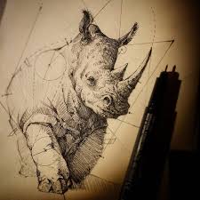 Rhino Sketch Yellowish Light Drawinganyway Paper Unfinished New Waiting Animal Drawings Sketchbook Drawings Sketches