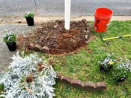 Sandi milota uploaded this image to 39 decorated images. How To Edge A Mailbox Garden Bed Adding Creeping Phlox Ugly Duckling House