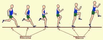 Tutti i tipi di salti praticati nell'atletica leggera hanno delle caratteristiche comuni, ovvero sono strutturati in 4 fasi principali: I Salti Nell Atletica Leggera Lessons Blendspace