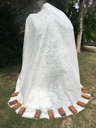 Small plants should be covered in the afternoon so that the . Protect Your Winter Garden And Landscape Plants With Frost Cloth Gardening In The Panhandle