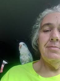 Is excessive bird illness anxiety normal?