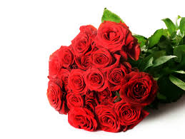 Pin On Birthday Greetings
