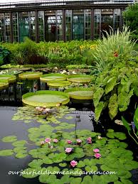 Pin By Katherine S On Travel Longwood Gardens Famous Gardens Gardens Of The World