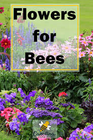 Plant Your Bee Garden With A Variety Of Flowers That Bees Love Carolinahoneybees Beegarden Plantsforbees Bee Garden Best Flowers For Bees Pollinator Garden