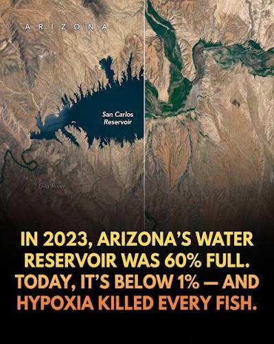 Arizona's San Carlos water reservoir has dried up. It's currently under 1%  capacity, sparking a massive ecological disaster. In less than three years,  Arizona's San Carlos Reservoir has undergone a catastrophic collapse,