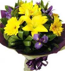 The online florist melbourne can recommend you some very interesting choices for anniversaries, birthdays, father's day, hospital exits, mother's day, new babies. Royal Women S Hospital Florist Abc Flowers Melbourne Flowers Hampers To Women S Hospital The Women S Free Delivery
