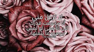 رسائل لشخص زعلان منك ليدي بيرد