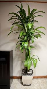 16 Inexpensive Plants Indoor Scandinavian Ideas Ideas Indoor Inexpensive Pla Ideasidea In 2020 Artificial Plants Artificial Plant Wall Artificial Plants Outdoor