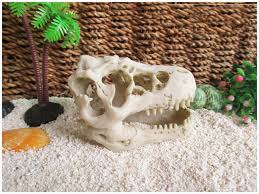 Hermit crabs are not true crabs as they have a smaller and softer abdomen which they protect by. Dinosaur Skull And Coconut Tree Hermit Crab Terrarium Decoration Amphibious Small Crawling Pet Aquarium Fish Tank Habitat Decor Aliexpress