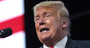 In lieu of flowers, please don't vote for Trump': Woman shares final wish  to mourners in her obituary