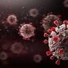 Ebola virus disease (evd) is a highly contagious disease that is caused by five different strains of the ebola virus; 1
