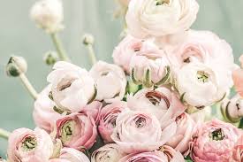 Only the best hd background pictures. Hd Wallpaper Pink Roses Photography Flower Floral Bouquet Florist Pastel Wallpaper Flare