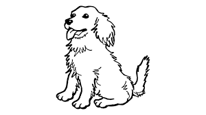 Colorir é uma arte realmente interessante tanto para crianças como para adultos. Pin Em Animais Para Colorir