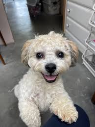 Sevierville Speaks Out