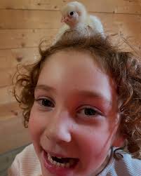 Fat Sheep Farm & Cabins (@fatsheepfarm) • Instagram photos and videos