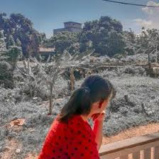 Pada kali ini kita akan membahas mengenai nature photography atau fotografi alam, sebagai berikut. 53 Ide Fotografi Alam Fotografi Alam Fotografi Foto Alam