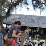 Dakin Dairy Farm (About)