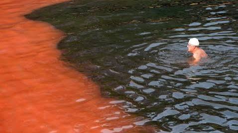 Blood Red Beach Gets (Almost) Everyone Out of the Water - ABC News