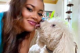 PetSmart Employees Charged After Reporter's Poodle Dies During Grooming  Visit