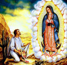 We did not find results for: La Virgen De Guadalupe History Latinbayarea Com