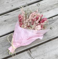 Check spelling or type a new query. Pink Dried Flower Mini Bouquet By Shropshire Petals Notonthehighstreet Com