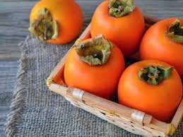The fruit of the japanese raisin tree is unusual. Kaki Tree Cultivation How To Grow A Japanese Persimmon Tree