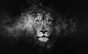 Download and use 10,000+ iphone wallpaper stock photos for free. Black Lion Cool Wallpapers Top Free Black Lion Cool Backgrounds Wallpaperaccess