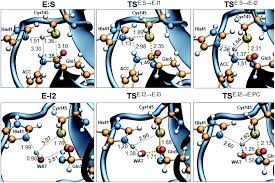 Vicent news 2020 / vincent cassel's wife tina kunakey is. Revealing The Molecular Mechanisms Of Proteolysis Of Sars Cov 2 Mpro By Qm Mm Computational Methods Chemical Science Rsc Publishing