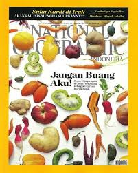 Pin Di Majalah