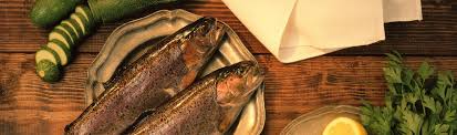 Fish Seafood Calories Calorie Chart