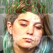 Arrests In Brevard County: March 19, 2019