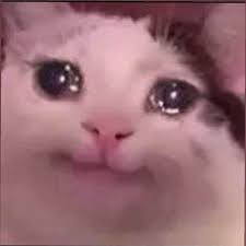 Pin On Bts Memes