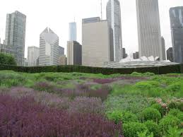 Piet Oudolf And His Wild Landscape Design Landscape Design Garden Design Piet