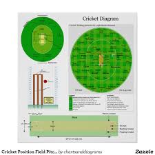 Find the length of this road ( draw with a diagram ). Cricket Position Field Pitch And Wicket Diagram Poster Zazzle Com Wicket Cricket Wicket Cricket
