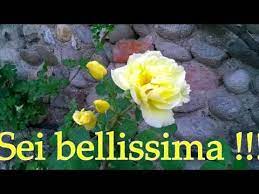 Buon Compleanno A Mia Figlia Youtube Buon Compleanno Figlia Compleanno Figli Buon Compleanno