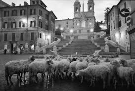 Risultati immagini per ferdinando scianna