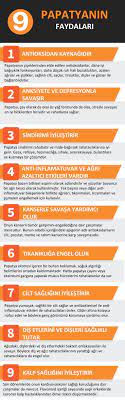 Saglik Sifalibitkiler Organikzamani Sifali Otlar Saglikli Yasam Tarzi Saglikli Yasam