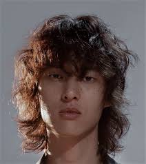 David Yang (杨英格)