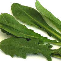 Maybe you would like to learn more about one of these? Dandelion Greens Are Edible And Linked To Health Benefits