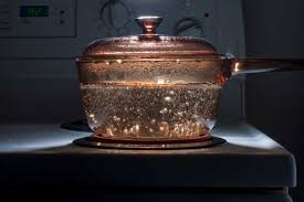 Flax oil creates a much more durable coating than any other, per cooks illustrated, but you have to start with raw metal. What Type Of Pot Is Best For Boiling Water Kitchen Seer