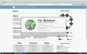 They can be manipulated into revealing your ip address. Tor Onion V3 Hidden Service