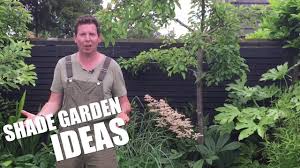 We did not find results for: Shady Border Tips Youtube