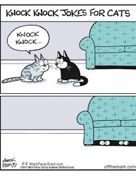 From Off The Mark Comic Strip By Mark Parisi Cats Humor Funnycats Cat Jokes Funny Cats Cat Memes