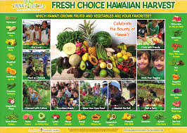 department of agriculture connecting to hawaiian harvests